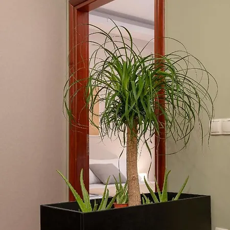 Centrally Located Cozy Apartment *